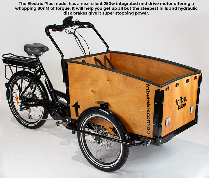 Cargo trike sale